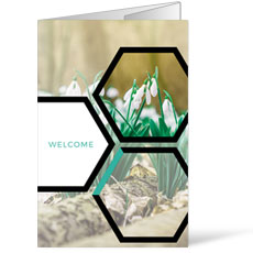 Welcome Hexagon Spring 