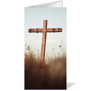 Cross and Salt Grass 11 x 17 Bulletins