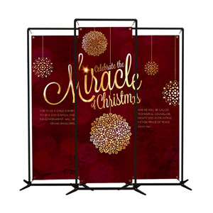 Celebrate the Miracle 2' x 6' Banner