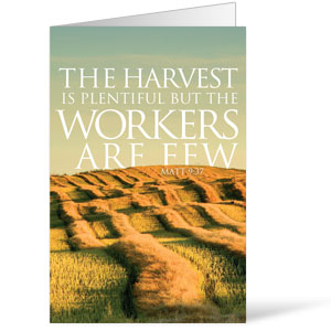 Reflections Harvest 8.5 x 14 Bulletins