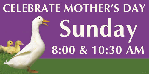 Banners, Mother's Day, Duck - 8, 4' x 8'
