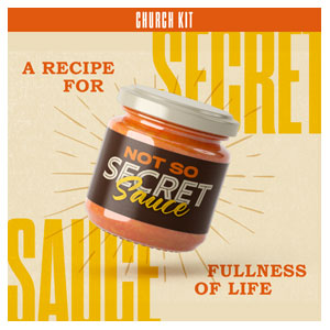 Not So Secret Sauce Digital Campaign Kit Campaign Kits