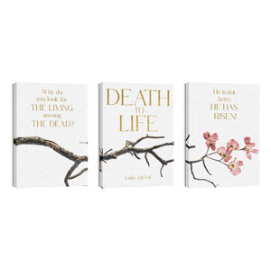Death To Life Blossom Triptych 24in x 36in Canvas Prints