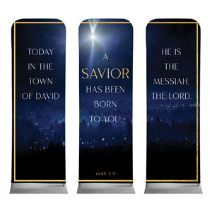 Christmas Together Night Triptych 2' x 6' Sleeve Banner