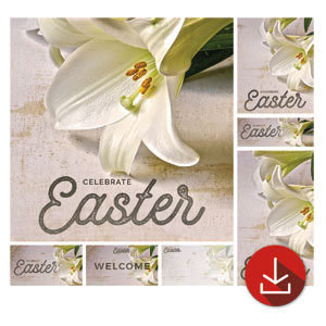 Easter Lilies Church Graphic Bundles
