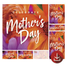 Mother's Day Daisies 