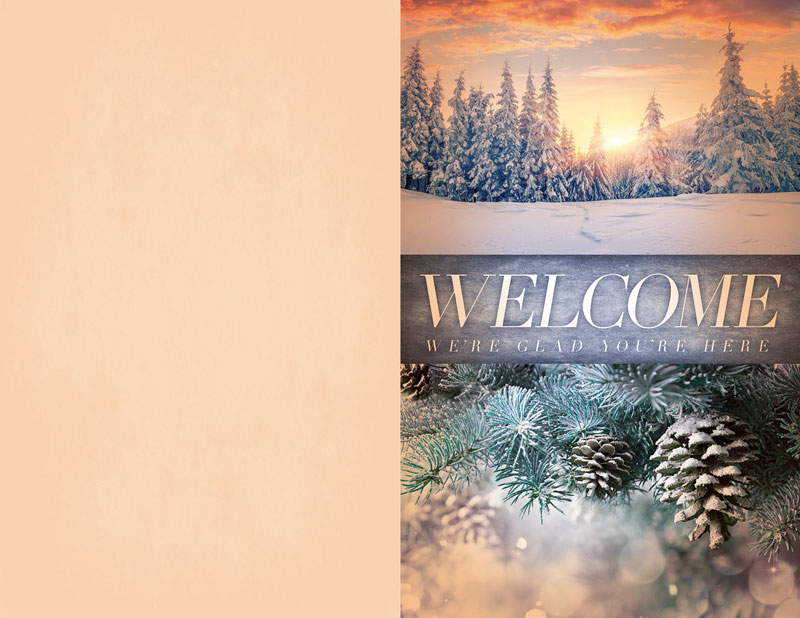Bulletins, Winter - General, Beautiful Creation Winter, 8.5 x 11
