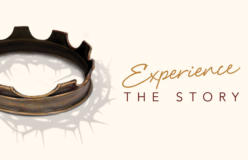 Church Postcards, Sermon Series, The Story Experience, 5.5 X 8.5