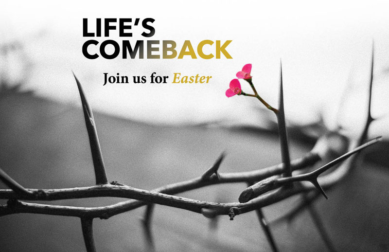 Church Postcards, Easter, Life's Comeback, 5.5 X 8.5