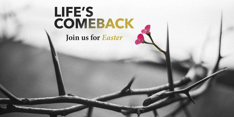 Church Postcards, Easter, Life's Comeback, 5.5 x 11