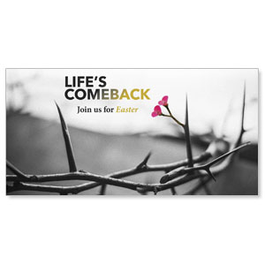 Life's Comeback 11" x 5.5" Oversized Postcards