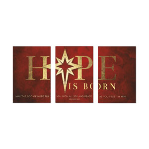 Hope Is Born Star Triptych 23" x 34.5" Rigid Wall Art