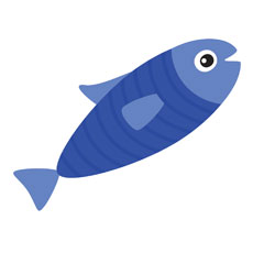 Ocean Buddies Blue Fish 