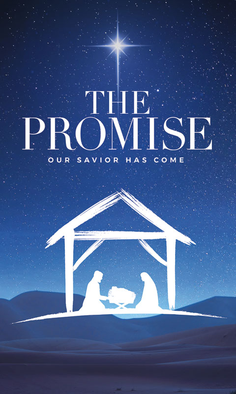 Banners, Christmas, The Promise Manger, 3 x 5