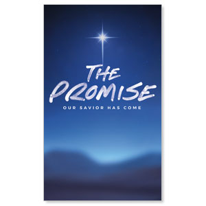 The Promise Contemporary 3 x 5 Vinyl Banner