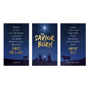 Savior is Born Star Triptych 3 x 5 Vinyl Banner